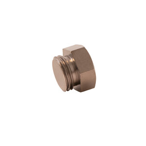 End plug -1/4″BSP