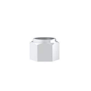 Hex Nut 303 Stainless Steel